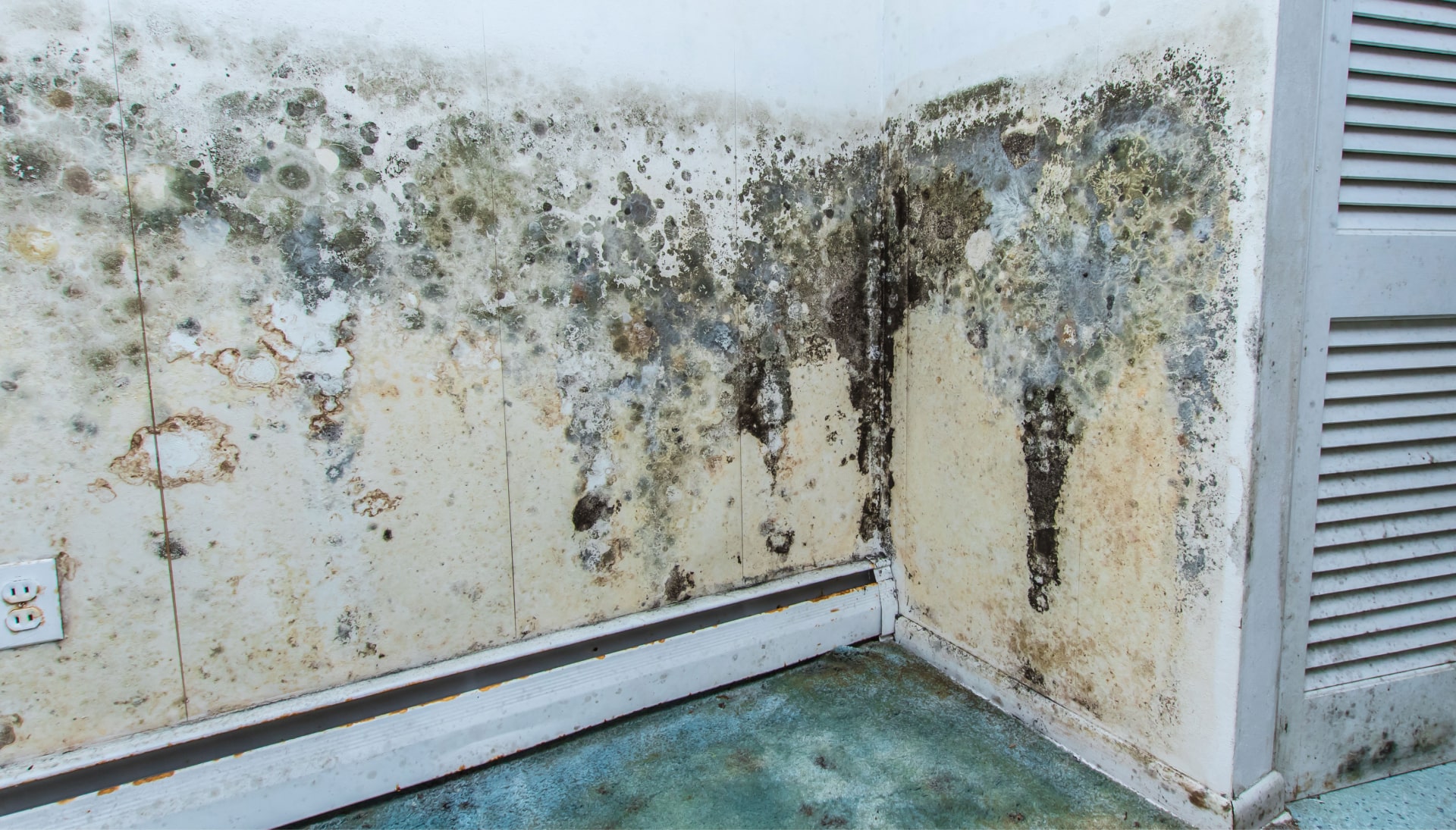 Mold-Damager-Odor-Control in Delray Beach