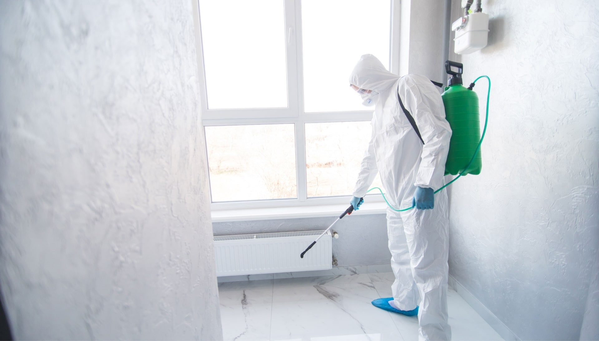 Mold-Inspection in Delray Beach
